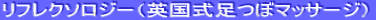���t���N�\���W�[�i�p�������c�{�}�b�T�[�W�j����