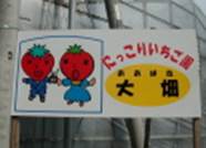 DSCN6780