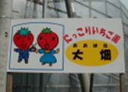 DSCN6780