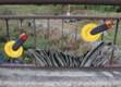 DSCN4862.jpg